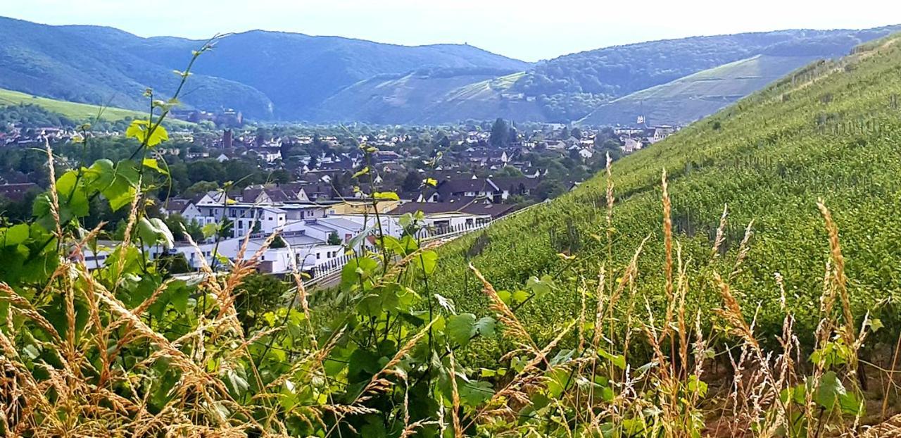 Ahrweiler Seelchen Bad Neuenahr-Ahrweiler Eksteriør billede