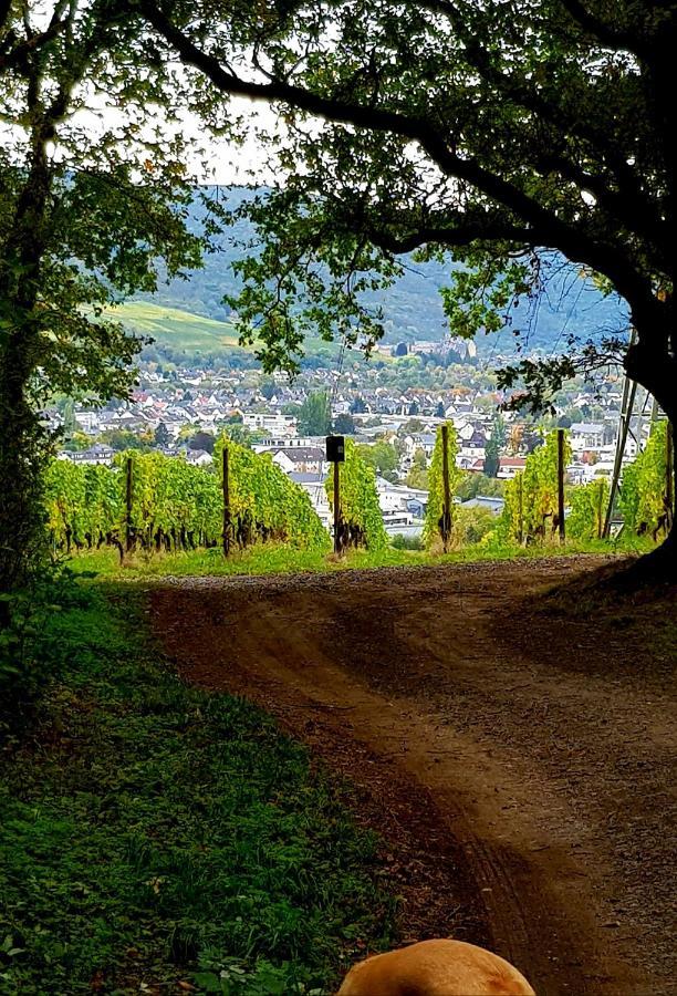 Ahrweiler Seelchen Bad Neuenahr-Ahrweiler Eksteriør billede